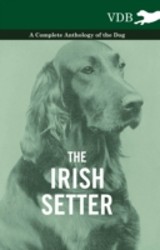 Irish Setter - A Complete Anthology of the Dog