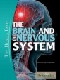 Brain and the Nervous System
