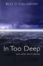 In Too Deep: Short Stories about Ireland