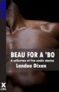 Beau For A Bo