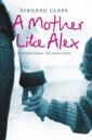 Mother Like Alex: One defiant woman. Nine special children. The fight to bring her family together.