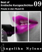 Erotische Kurzgeschichten - Best of 09