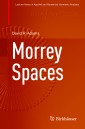 Morrey Spaces