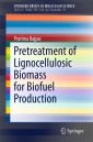 Pretreatment of Lignocellulosic Biomass for Biofuel Production