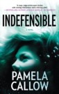 Indefensible (A Kate Lange Novel, Book 2)