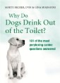 Why Do Dogs Drink Out Of The Toilet?