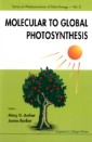 Molecular To Global Photosynthesis