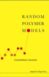 Random Polymer Models