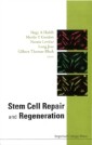 Stem Cell Repair And Regeneration