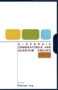 Algebraic Combinatorics And Quantum Groups