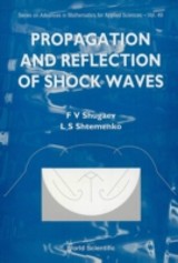 Propagation And Reflection Of Shock Waves