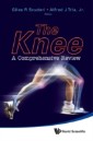 Knee, The: A Comprehensive Review