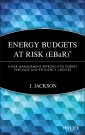 Energy Budgets at Risk (EBaR)