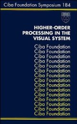 Higher-Order Processing in the Visual System