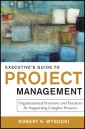 Executive's Guide to Project Management