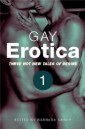 Gay Erotica, Volume 1