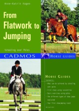 From Flatwork to Jumping