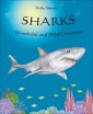 Sharks -  Wonderful and Wild Creatures