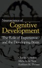 Neuroscience of Cognitive Development