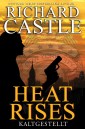 Castle 3: Heat Rises - Kaltgestellt