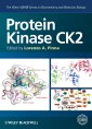 Protein Kinase CK2