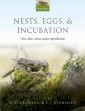 Nests, Eggs, and Incubation