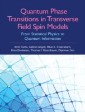 Quantum Phase Transitions in Transverse Field Spin Models