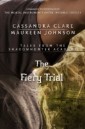Fiery Trial (Tales from the Shadowhunter Academy 8)