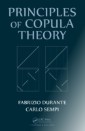 Principles of Copula Theory