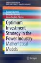 Optimum Investment Strategy in the Power Industry