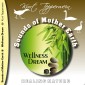 Sounds of Mother Earth - Wellness Dream
