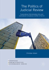 The Politics of Judicial Review