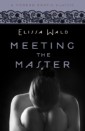Meeting the Master (Modern Erotic Classics)