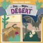 Day and Night in the Sonoran Desert