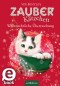 Zauberkätzchen - Weihnachtliche Überraschung