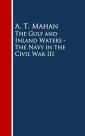 The Gulf and Inland Waters - The Navy in the Civil War III