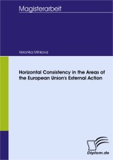Horizontal Consistency in the Areas of the European Unions External Action