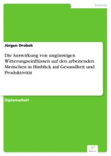 Die Auswirkung von ungünstigen Witterungseinflüssen auf den arbeitenden Menschen in Hinblick auf Gesundheit und Produktivität