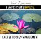 Bewusstseinsimpulse: Energetisches Management