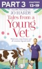 Tales from a Young Vet: Part 2 of 3: Mad cows, crazy kittens, and all creatures big and small