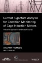 Current Signature Analysis for Condition Monitoring of Cage Induction Motors