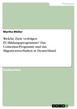 Welche Ziele verfolgen EU-Bildungsprogramme? Das Comenius-Programm und das Migrationsverhalten in Deutschland