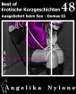 Erotische Kurzgeschichten - Best of 48