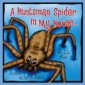 Huntsman Spider In My House . . .