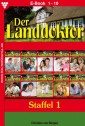 Der Landdoktor Staffel 1 - Arztroman