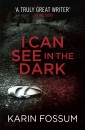 I Can See in the Dark