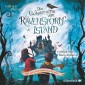 Die Geheimnisse von Ravenstorm Island  1: Die verschwundenen Kinder