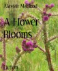 A Flower Blooms