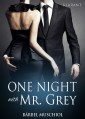One Night with Mr Grey